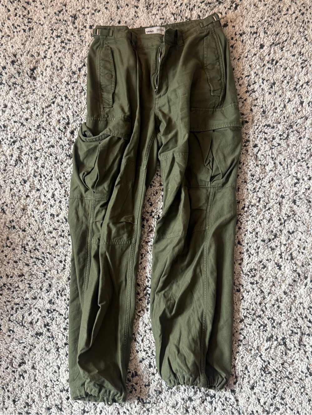 Aritzia TNA Cargo Pants